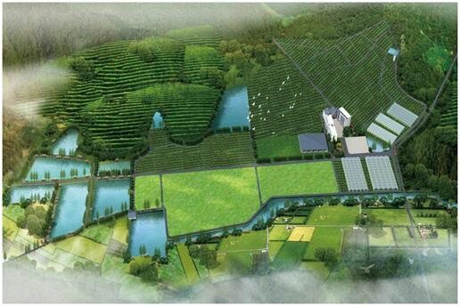 300示范区域，部分区域招商合作